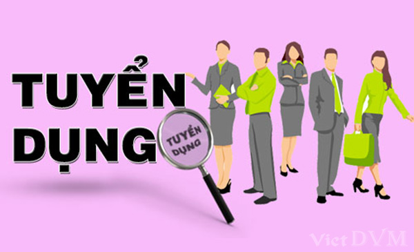 Không có ảnh